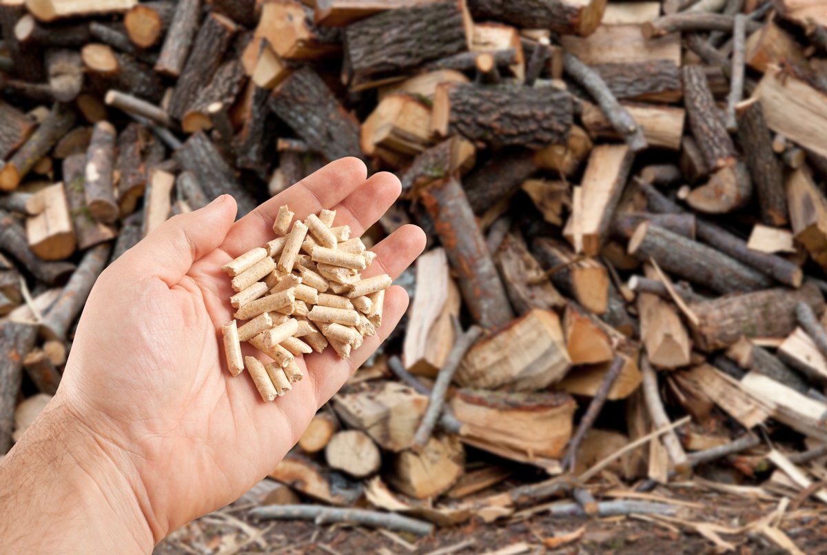 Wood pellets in hand on firewood background
